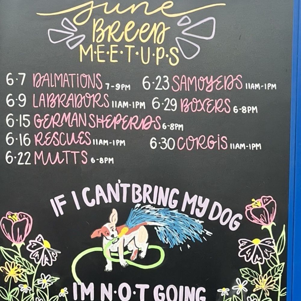 Two Shepherds Taproom - Bars Near Me - Tampa, Florida Two Shepherds Taproom - Bars Near Me - Tampa, Florida