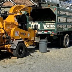 El Chamo Tree Removal Services