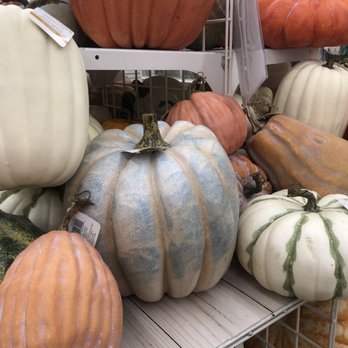 Michaels - Happy Halloween - Arts & Crafts Near Me - Santee, California