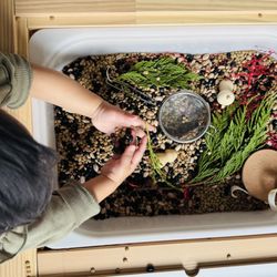 Forager Crafts - Reused the workshop trinkets to enhance a multi-bean sensory bin for our 1 year old :-)