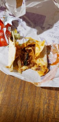 Taco Bell by null