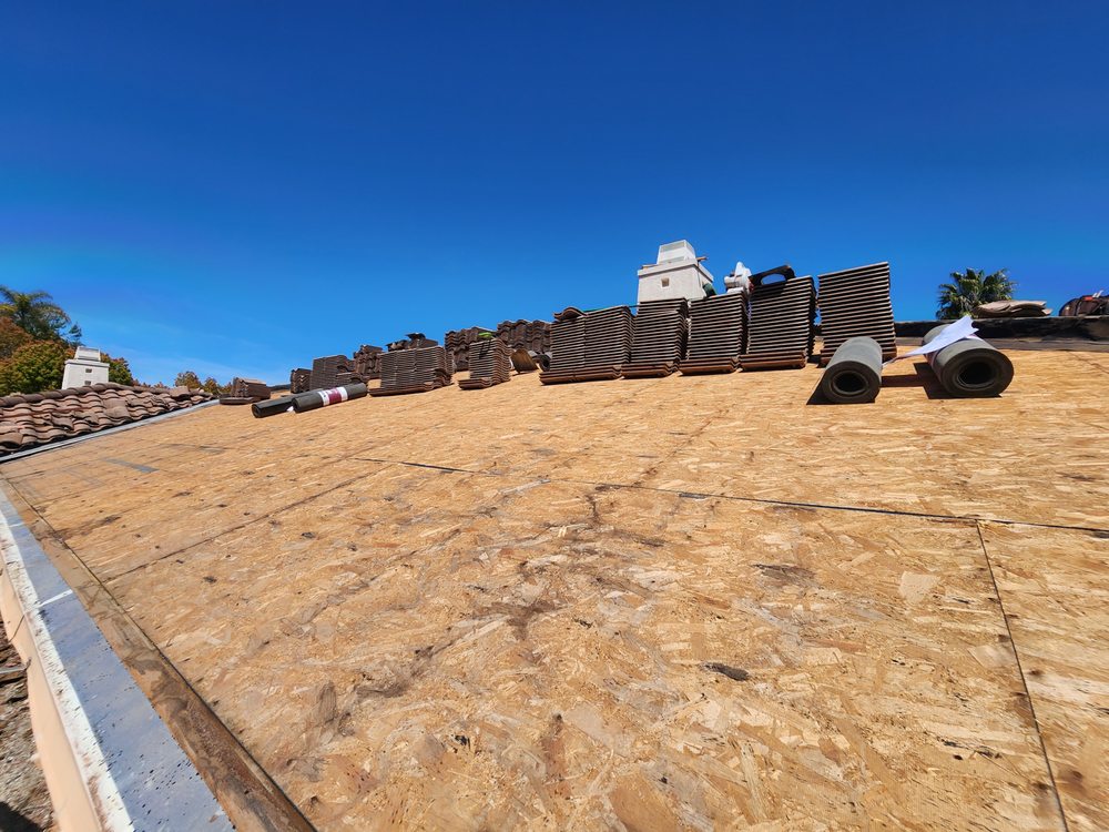 Slide of Cesar Arenas 