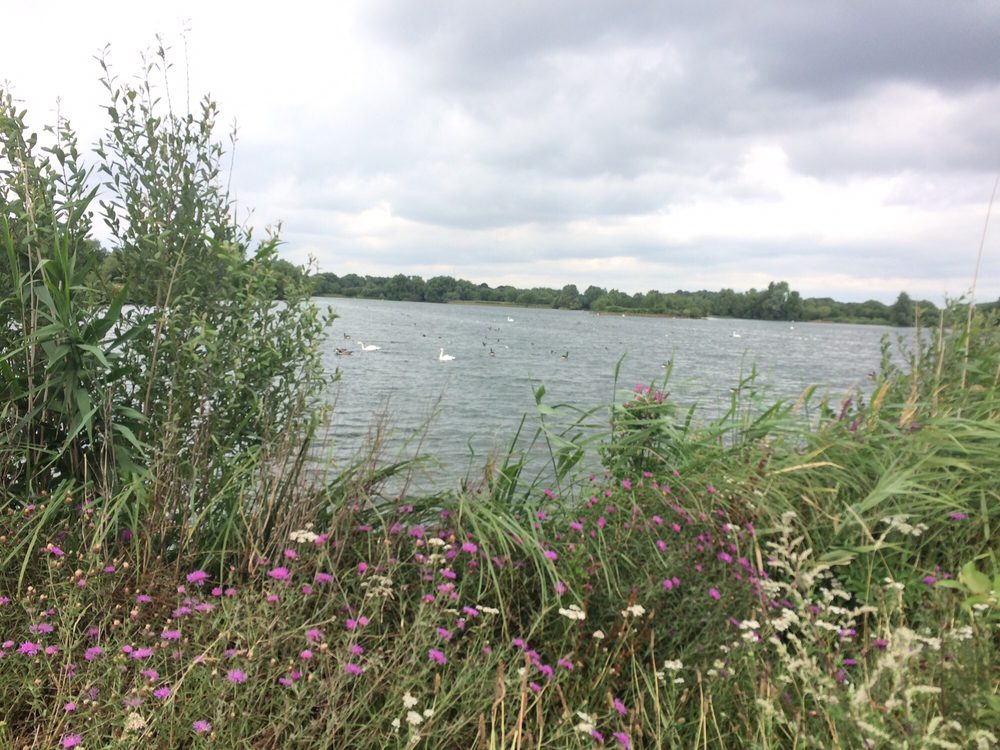 Watermead Country Park