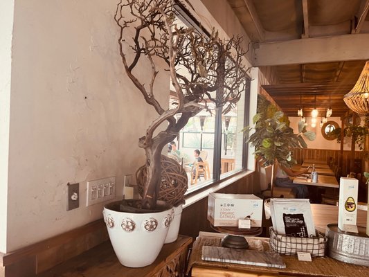 The Purple Mint Vegan Bistro by null