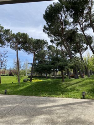 Museo del Traje by null