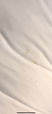 L'Auberge Casino & Hotel Baton Rouge by null