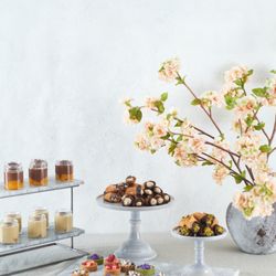 Savory - Food spread