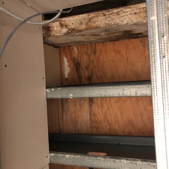 Dry Ease Mold Removal NYC - Damage Restoration Near Me - New York, New York Dry Ease Mold Removal NYC - Damage Restoration Near Me - New York, New York