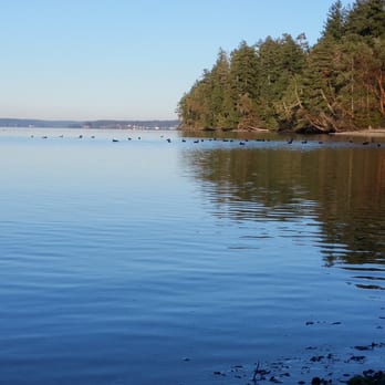 Penrose Point State Park - the flock of birds!! - Parks Near Me - Lakebay, Washington
