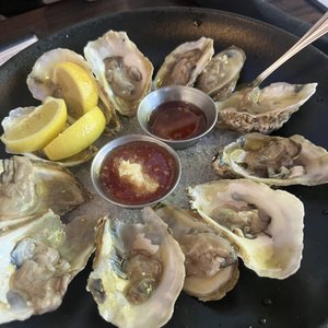 THE BLACK MARLIN - 910 Photos & 858 Reviews - 560 El Camino Real