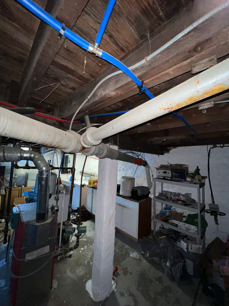 Slide of Master Rooter