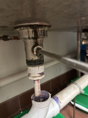 Nest The Plumber Logo