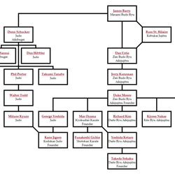 Budokai South Defensive Arts Institute - Minami Budo Ryu Lineage