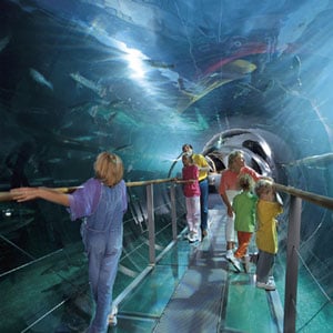 SEA LIFE Brighton by null