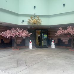 Mikado