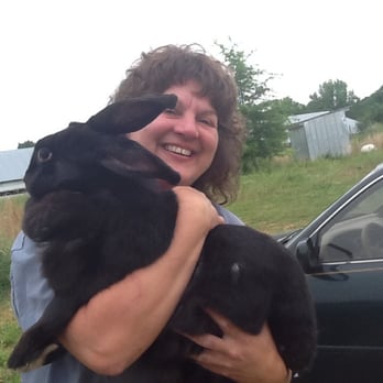 The Rabbit Barn - we grow 'em big here!  flemish giant. - Pet Stores Near Me - Bear Creek, North Carolina