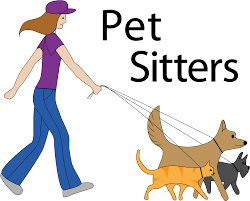 Destination Sitters - childcare center in Santa Barbara, CA