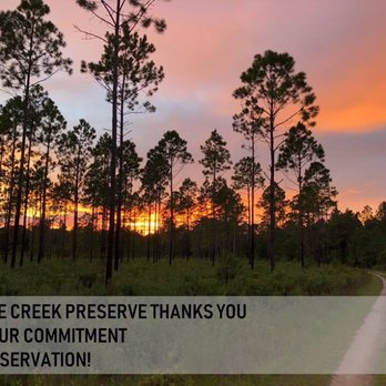 Prarie Creek Conservation Cemetery - 2019 - Funeral Services & Cemeteries Near Me - Gainesville, Florida Prarie Creek Conservation Cemetery - 2019 - Funeral Services & Cemeteries Near Me - Gainesville, Florida