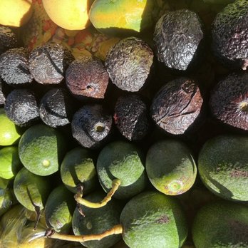 Kunia Farmer's Market - Avocado's and grapefruit - Farmers Market Near Me - Kunia, Hawaii Kunia Farmer's Market - Avocado's and grapefruit - Farmers Market Near Me - Kunia, Hawaii