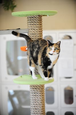 Now Boarding by null