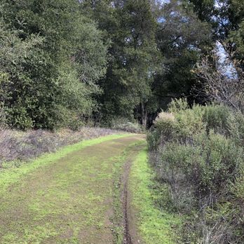 Picchetti Winery - Wineries Near Me - Cupertino, California