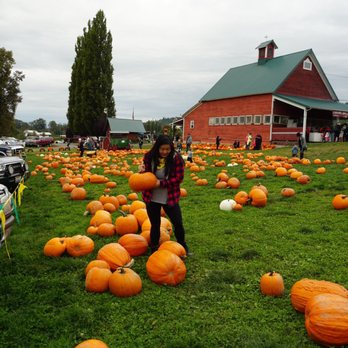 Bob's Corn & Pumpkin Farm - Pumpkin Patches Near Me - Snohomish, Washington