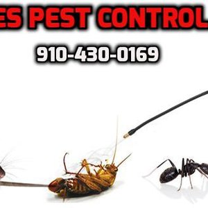 MODERN EXTERMINATING COMPANY - Updated January 2026 - 27 Reviews - 627 ...