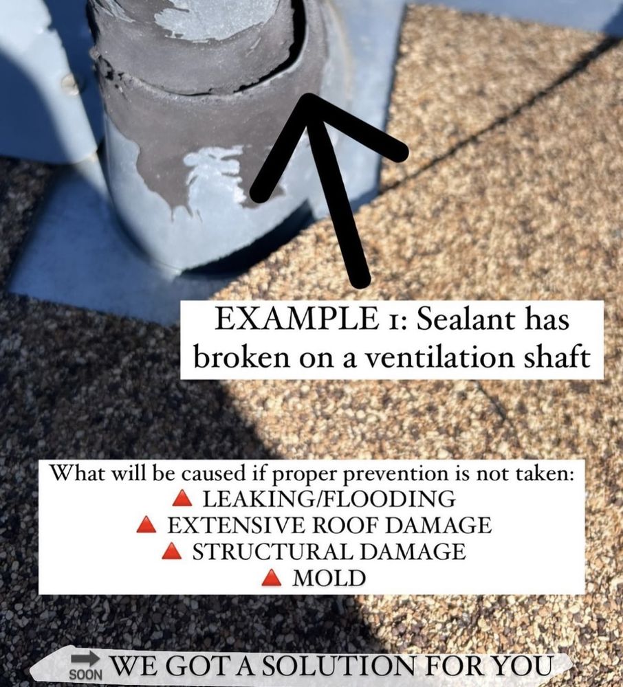 Slide of Descaling and Roof Proof Guy