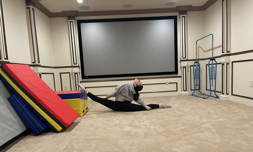 LA SCHOOL OF GYMNASTICS IN HOME Updated May 2024 46 Photos Culver