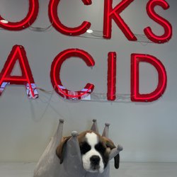Rocks and Acid Wine Shop