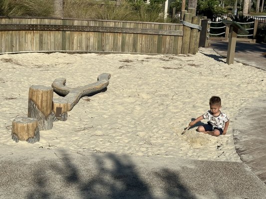 Lowcountry Celebration Park by null