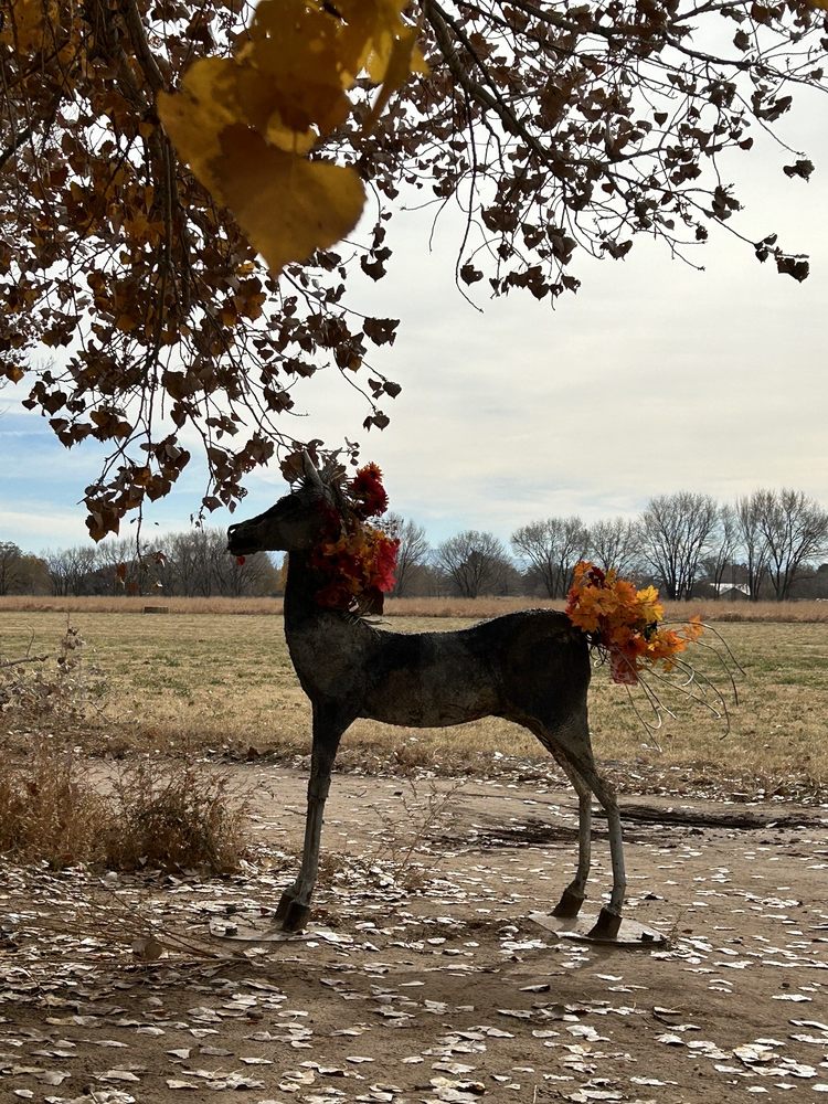 Los Poblanos Fields Open Space