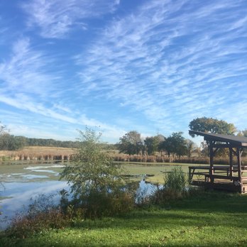 Oak Forest Heritage Preserve - 10.19.16 - Public Services & Government Near Me - Oak Forest, Illinois Oak Forest Heritage Preserve - 10.19.16 - Public Services & Government Near Me - Oak Forest, Illinois
