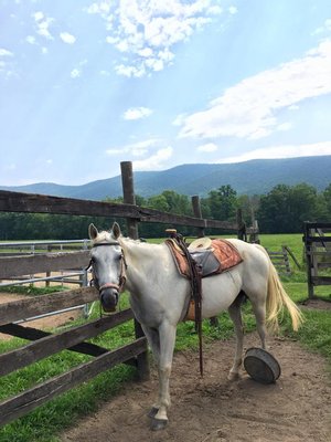 Secret Passage Ranch by null