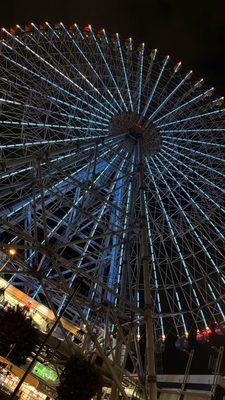 Tempozan Ferris Wheel by null