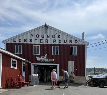 Young's Lobster Pound by null