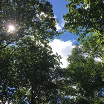 Ottopark - Parks Near Me - Berlin, BE