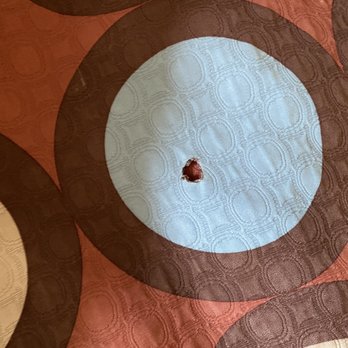 Super 8 by Wyndham - HOLES IN BEDSHEET - Hotels Near Me - California, Maryland