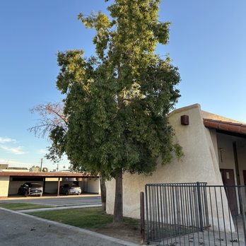 Lara Landscaping & Tree Trimming - Tree Services Near Me - Yuma, Arizona Lara Landscaping & Tree Trimming - Tree Services Near Me - Yuma, Arizona