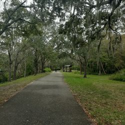 Lowry Park
