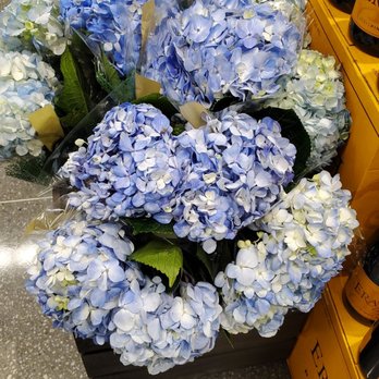 Publix - a bunch of blue hydrants in a vase - Grocery Near Me - Pembroke Pines, Florida