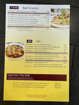 Menu photo 6 China Village Albany, CA