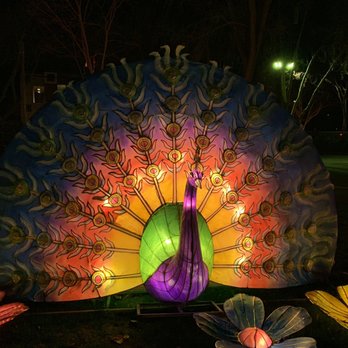 Lantern Light Festival - Festivals Near Me - Miami, Florida Lantern Light Festival - Festivals Near Me - Miami, Florida