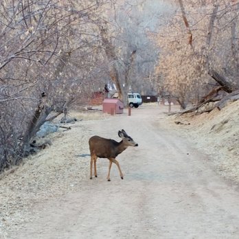 The Grotto Trail - Making a friend on the grotto trail - Hiking Near Me
