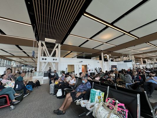Hawaiian Airlines by null
