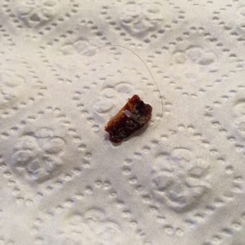 Pizza Hut - We found a hair in one of our pizza's! My family is disgusted! Manager "Billy" would not replace our order! TERRIBLE!! AVOID!! - Pizza Near Me - Laveen, Arizona