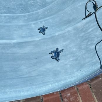 North Star Pools Plastering - North Star replaster - Pool & Hot Tub Service Near Me - Sacramento, California