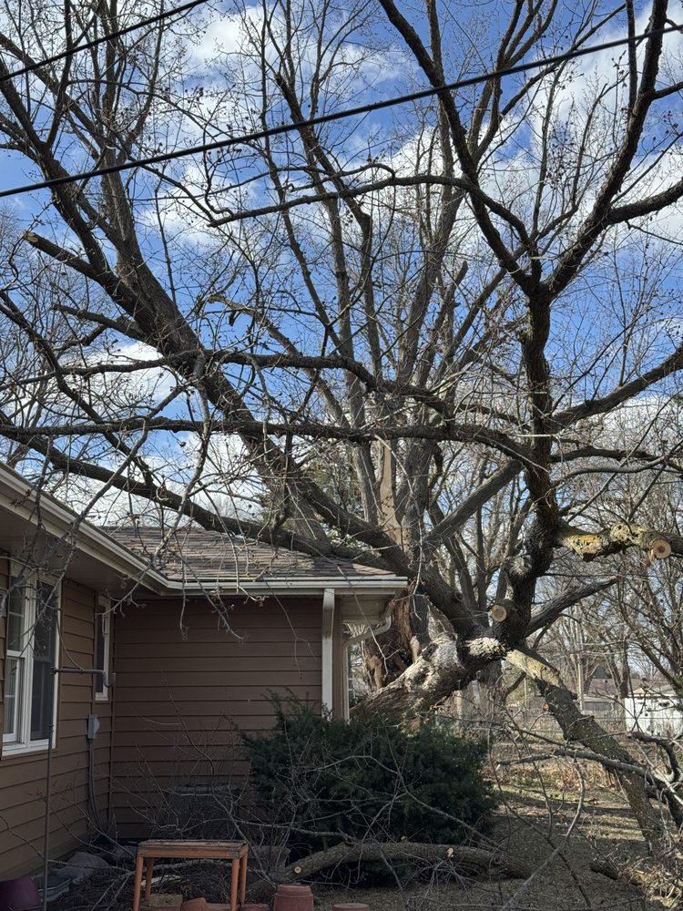 Elite Tree Services - tree service in Lincoln, NE