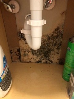 Slide of Straight Line Construction