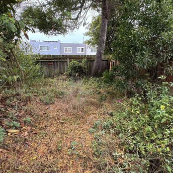 Guzman Landscaping - Before - Weeds & Vegetation - Landscaping Near Me - San Pablo, California